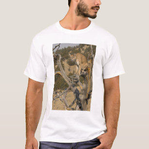 Mountain Lion, ook bekend als puma, cougar; Puma c T-shirt