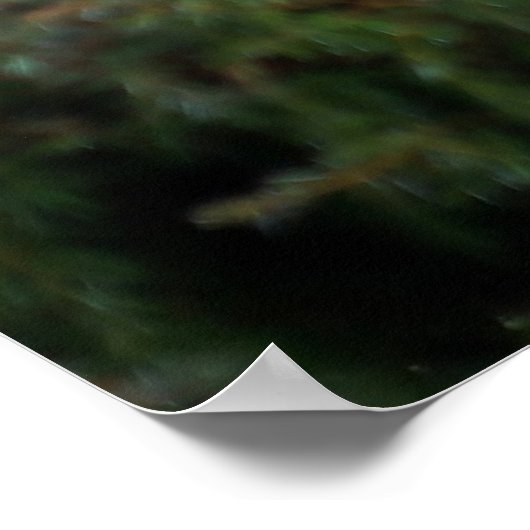 Mountain Lion op de uitkijk Poster (Hoek)