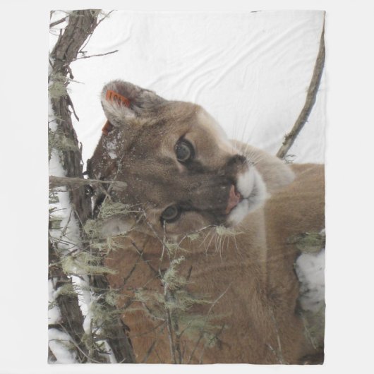 Mountain Lion op Fleece Blanket (Voorkant)