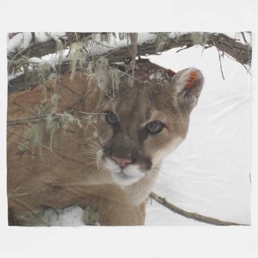 Mountain Lion op Fleece Blanket Deken (Voorkant (Horizontaal))