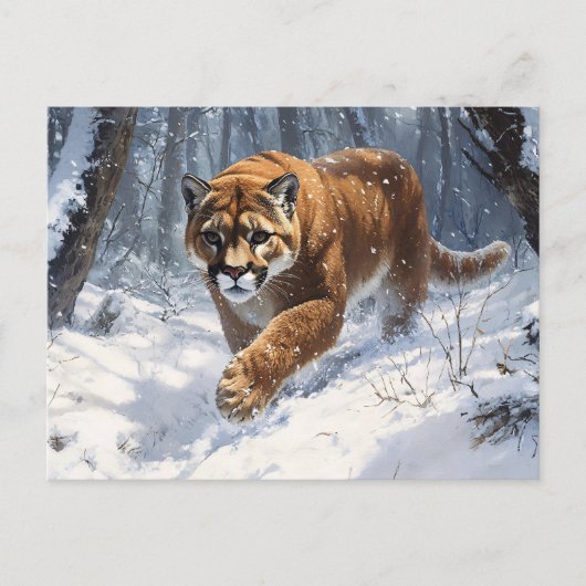 Mountain Lion op jacht in de sneeuwkunst Briefkaart (Voorkant)