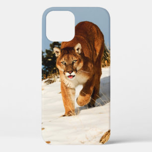 Mountain Lion op sneeuwheuvel Case-Mate iPhone Case