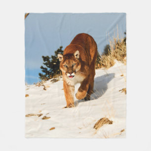 Mountain Lion op sneeuwheuvel Fleece Deken