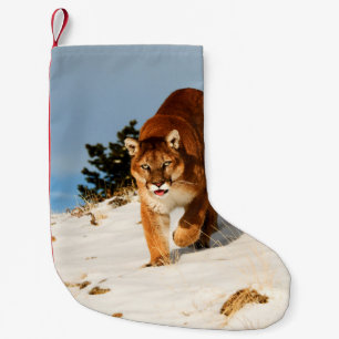 Mountain Lion op sneeuwheuvel Kleine Kerstsok