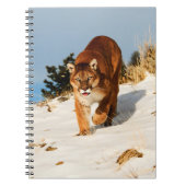 Mountain Lion op sneeuwheuvel Notitieboek (Voorkant)
