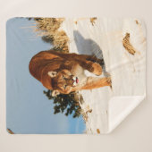 Mountain Lion op sneeuwheuvel Sherpa Deken (Voorkant (horizontaal))