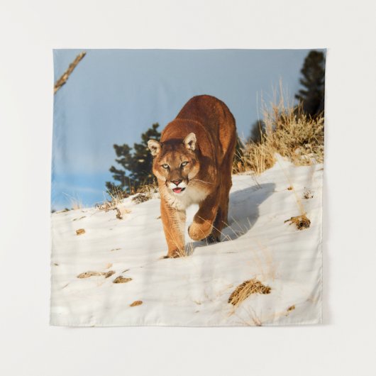 Mountain Lion op sneeuwheuvel Wandkleed (Voorkant)