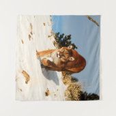 Mountain Lion op sneeuwheuvel Wandkleed (Voorkant (horizontaal))