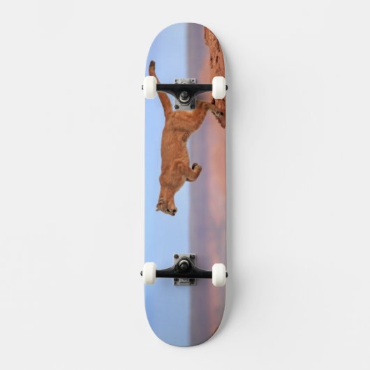 Mountain Lion Persoonlijk Skateboard (Voorkant)