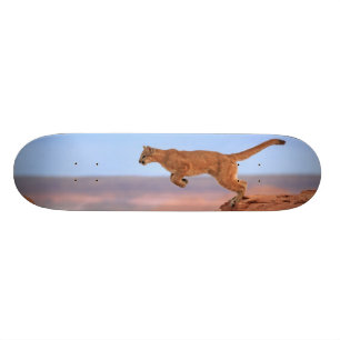 Mountain Lion Persoonlijk Skateboard