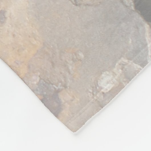 Mountain Lion Petroglyph Fleece Deken (Hoek)