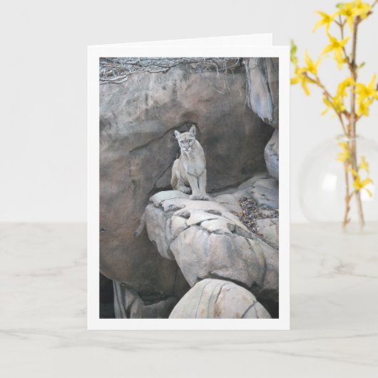 Mountain Lion Portrait Kaart (Gele Bloem)