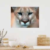 Mountain Lion Poster (Keuken)