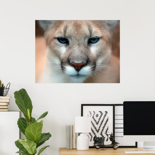 Mountain Lion Poster (Thuiskantoor)