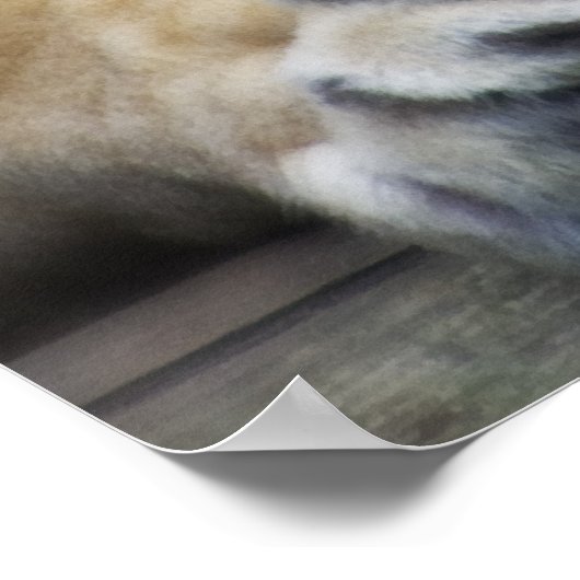 Mountain Lion Poster (Hoek)