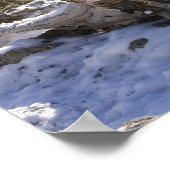 Mountain Lion Poster (Hoek)