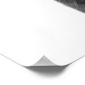 Mountain Lion Puma Big Cat Black White Poster (Hoek)