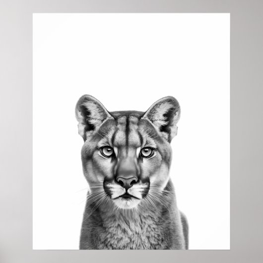 Mountain Lion Puma Big Cat Black White Poster (Voorkant)