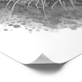 Mountain Lion Puma Big Cat Black White Poster (Hoek)