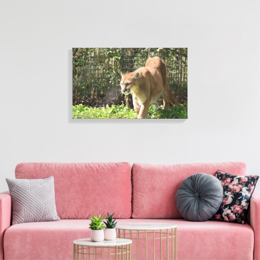 Mountain Lion Puma Cougar Canvas (Insitu (Woonkamer))