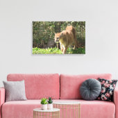 Mountain Lion Puma Cougar Canvas Afdruk (Insitu (Woonkamer))