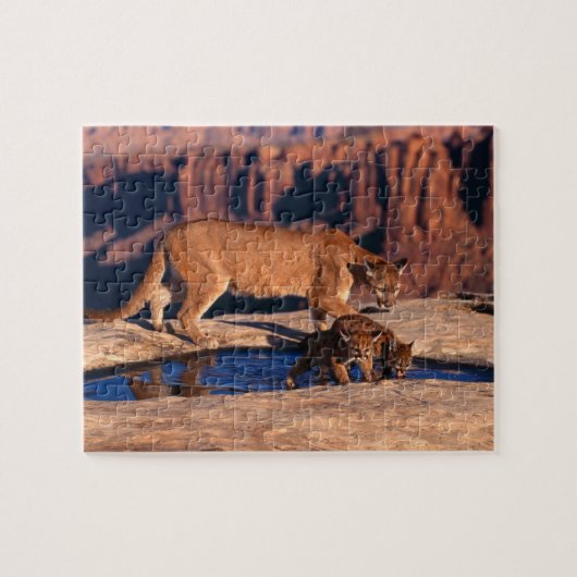 Mountain Lion Puzzel Legpuzzel (Horizontaal)