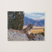 Mountain Lion Puzzle Legpuzzel (Horizontaal)