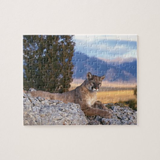Mountain Lion Puzzle Legpuzzel (Horizontaal)