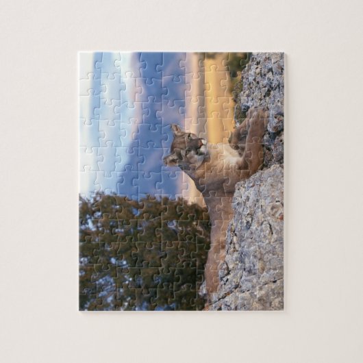 Mountain Lion Puzzle Legpuzzel (Verticaal)