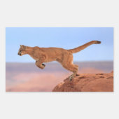 Mountain Lion Rechthoekige Sticker (Voorkant)