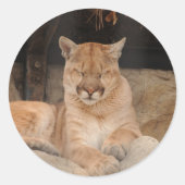Mountain Lion Ronde Sticker (Voorkant)