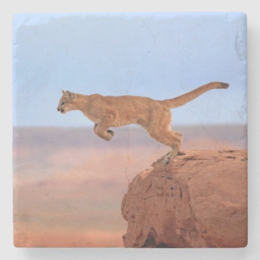 Mountain Lion Stenen Onderzetter (Voorkant)