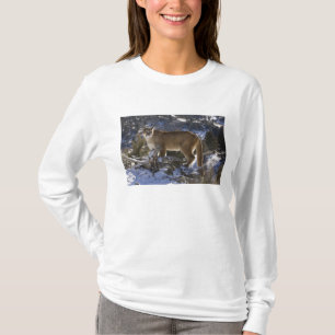 Mountain Lion T-shirt