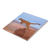 Mountain Lion Tegeltje (Zijkant)