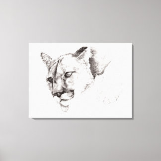 Mountain Lion Tekening Uitgerekte Canvas Print