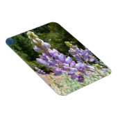 Mountain Lupins at Yosemite Magneet (Rechterzijde)