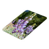 Mountain Lupins at Yosemite Magneet (Linkerzijde)