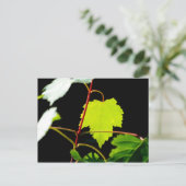 Mountain Maple Briefkaart (Staand voorkant)