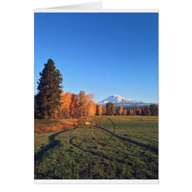 Mountain Marvel (Voorkant)