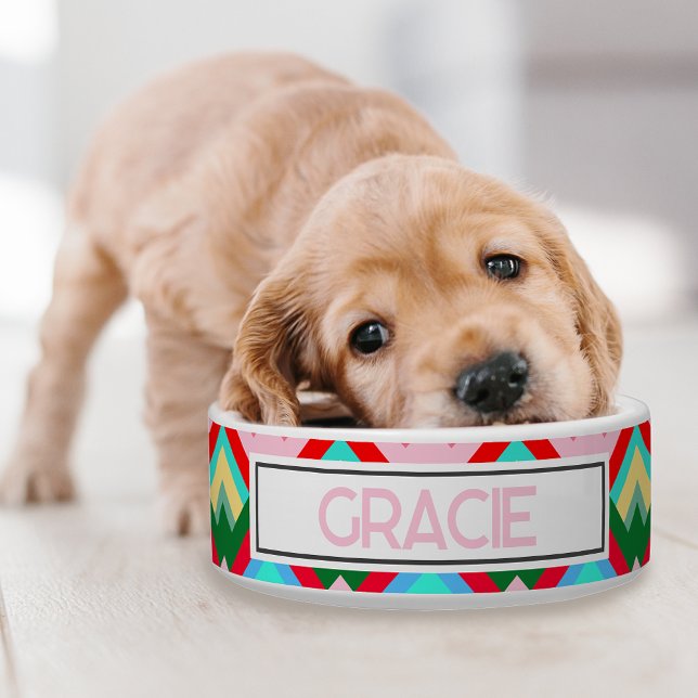Mountain Peaks ontwerp met huisdier naam Voerbakje (A retro colorful dog bowl for your pup!)