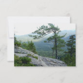 Mountain Pine Tree – Nature’s Resilience Photo Notitiekaartje (Voorkant)