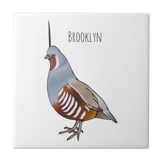 Mountain quail bird cartoon illustration  tegeltje (Voorkant)