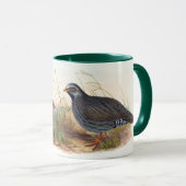 Mountain Quail-Bird, Mok (Voorkant rechts)