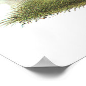 Mountain Quail, John Audubon Poster (Hoek)