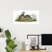 Mountain Quail, John Audubon Poster (Thuiskantoor)
