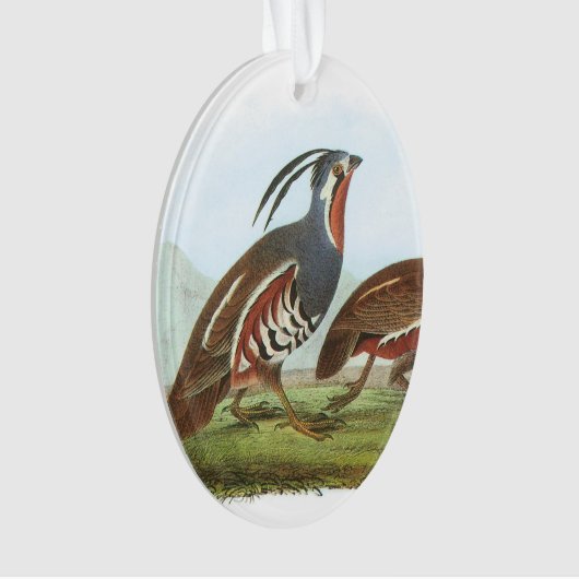 Mountain Quail van Audubon Ornament (voorkant)
