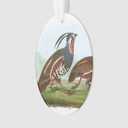 Mountain Quail van Audubon Ornament (voorkant)