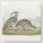 Mountain Quail van Audubon Stenen Onderzetter (Voorkant)