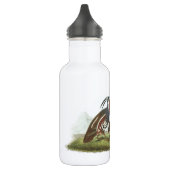 Mountain Quail van Audubon Waterfles (Links)