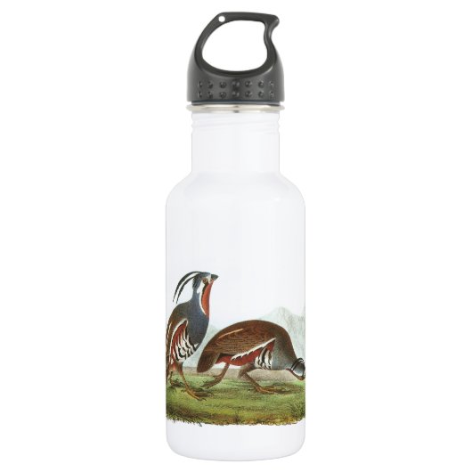 Mountain Quail van Audubon Waterfles (Voorkant)